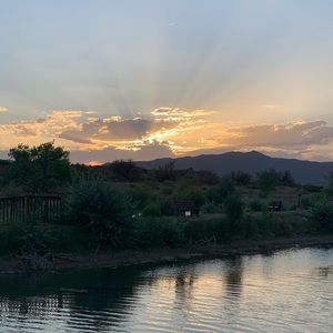 Meet your Posher, Leon